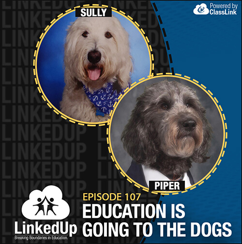 Education Is Going to the Dogs